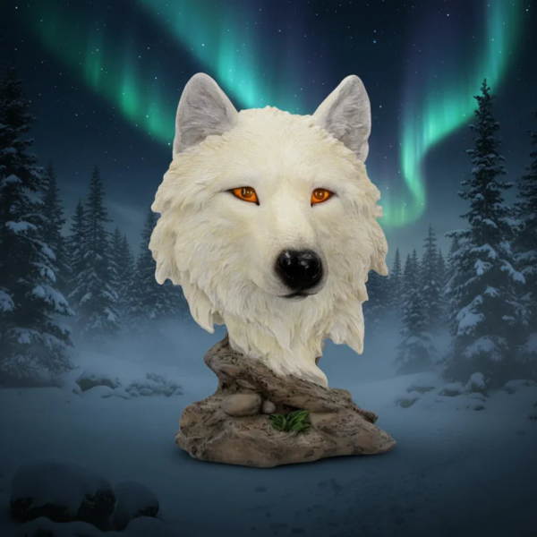 Snow Searcher Wild Wolf Bust | Gothic Fantasy Figurine by Nemesis Now - 16cm tall