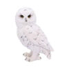 Snowy Watch Owl Figurine 13.3cm - Nemesis Now White Resin