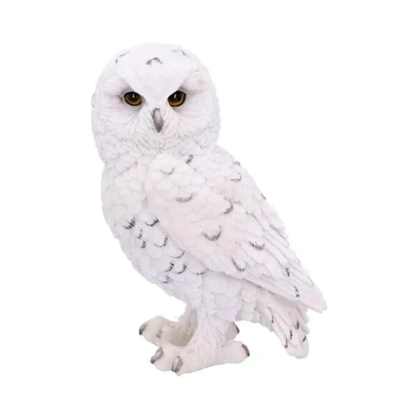 Snowy Watch Owl Figurine 13.3cm - Nemesis Now White Resin