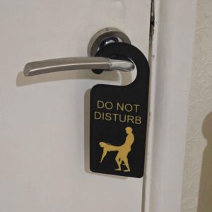 Grown Up Do Not Disturb Sign - Unique 3D-Printed Design for Privacy - Home Decor