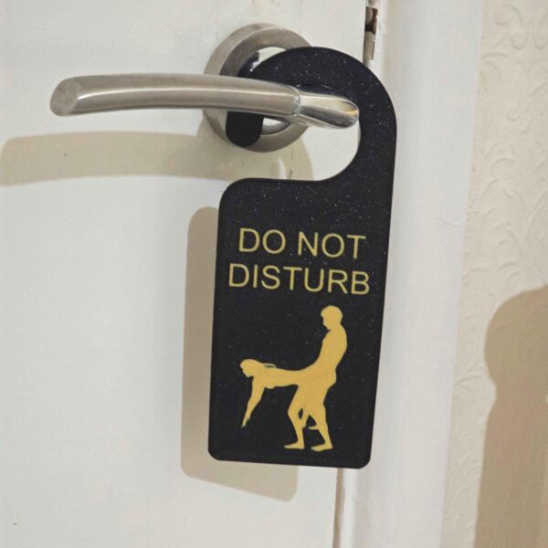 Grown Up Do Not Disturb Sign - Unique 3D-Printed Design for Privacy - Home Decor