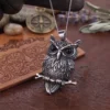 Norse & Gothic Stainless Steel Owl Necklace Pendant thin chain Detailed silver-tone owl pendant necklace perched on a branch with black crystal eyes, displayed against a solid white background.